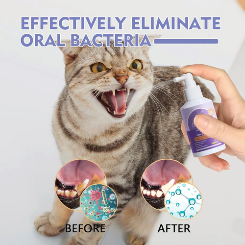 🔥Teeth Cleaning Spray – Fresh Breath & Dental Care for Dogs & Cats