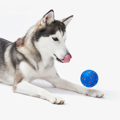 ✨2025 New Release – 50% Off – Jumping Ball for Dogs 🐶